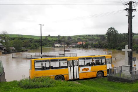 20100516arvizraka.jpg