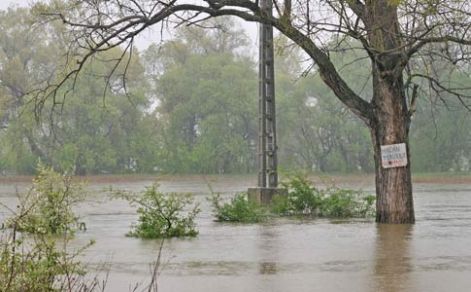 haon-news-charlotteinform-20100420-1116050411-1669.jpg